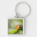 Search for ladybird key rings Beetle