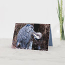 Search for heron cards Pond