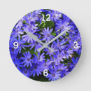 Search for osteospermum posters Garden