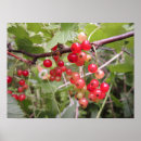 Search for backyard art Leaves