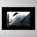 Search for haida art posters Raven