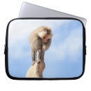 Search for baboon electronics Primate