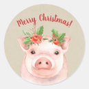 Search for cute pigs stickers Modern