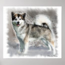 Search for malamute art Cute