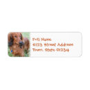 Search for dachshund puppy return address labels Puppies