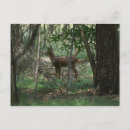 Search for bambi postcards Forest