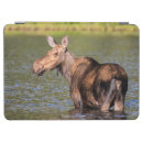 Search for cow ipad cases wildlife