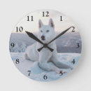 Search for white siberian husky art Pet