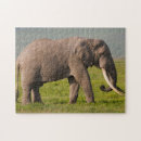 Search for african elephant puzzles Grey