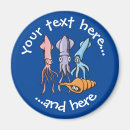 Search for squid magnets Cephalopod