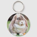 Search for lop key rings Animal