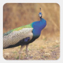 Search for 0 labels Photography