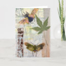 Search for bug note cards Green