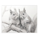 Search for squirrel notepads Wildlife