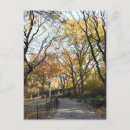 Search for fall tree postcards New york