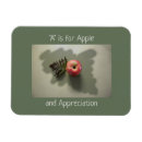 Search for green apple magnets Gratitude