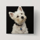 Search for innocence badges Animals