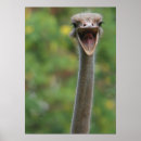 Search for goofy posters Bird