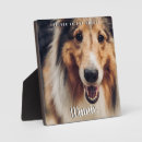 Search for memorial plaques Rainbow bridge