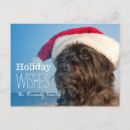 Search for cairn terrier christmas cards Pets
