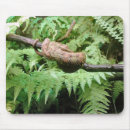 Search for wraps mousepads Nature