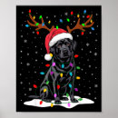 Search for black santa posters Lights