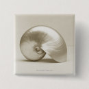 Search for pearls badges Ocean