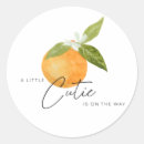 Search for clementine stickers Modern