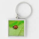 Search for ladybird key rings Nature