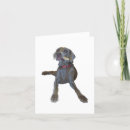 Search for weimaraner birthday cards Friend