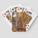 Search for funny squirrel playing cards Cute
