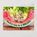 Search for adorable chipmunk postcards Joke
