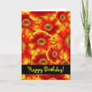 Search for gerbera cards invites Daisy