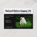Search for backyard business cards Chicken