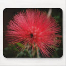 Search for fairy mousepads Nature