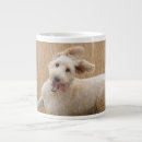 Search for goldendoodle puppy mugs Adorable