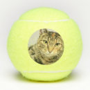 Search for cat tennis balls Feline