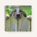 Search for german notebooks Outdoor