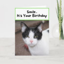 Search for cat birthday cards Grumpy