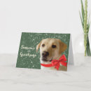 Search for labrador retriever christmas cards Dog