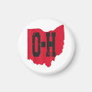 Search for buckeyes magnets State