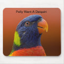 Search for cartoon bird electronics Humour