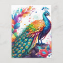 Search for peacock feathers postcards Animal