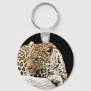 Search for boring key rings Animal
