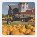 Search for rural labels Autumn