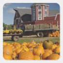 Search for concorde stickers Massachusetts