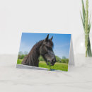 Search for friesian cards Animal