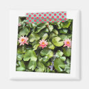 Search for dotted magnets White