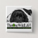 Search for newfies accessories Newfy