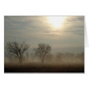 Search for foggy Photography